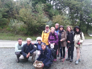 Mushroom Tour in Piedmont