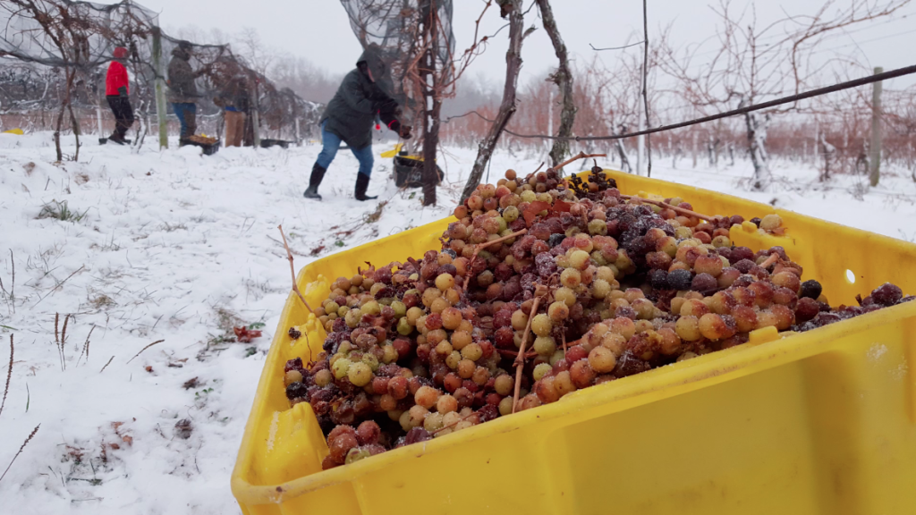 Schermata 06-2457544 alle 04.04.22